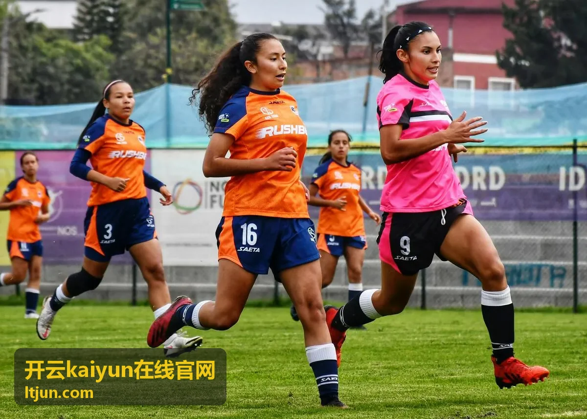 开云kaiyun在线官网合作案例现场示意图