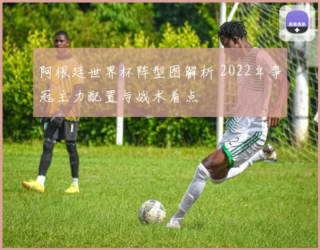 阿根廷世界杯阵型图解析 2022年争冠主力配置与战术看点