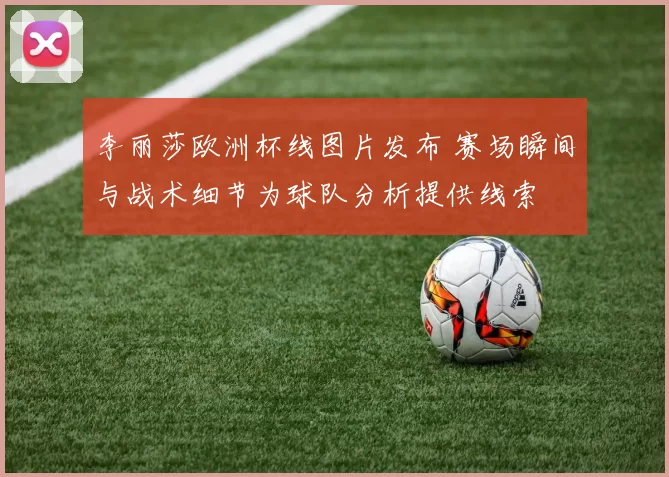李丽莎欧洲杯线图片发布 赛场瞬间与战术细节为球队分析提供线索