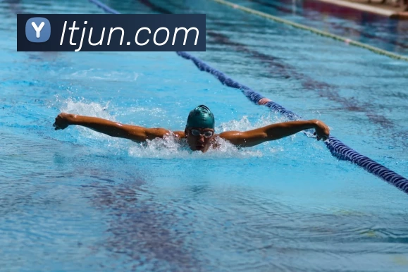 App Interface Preview