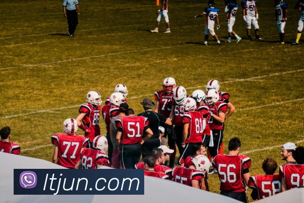 8868体育官方网站app首页登录APP 封面图